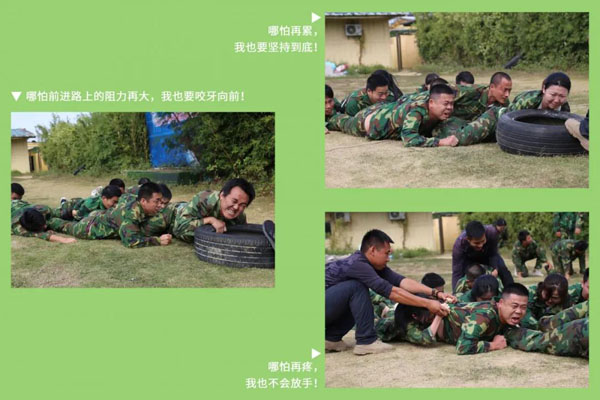 球盟会新能源_厚积薄发_赢胜2021(图8)